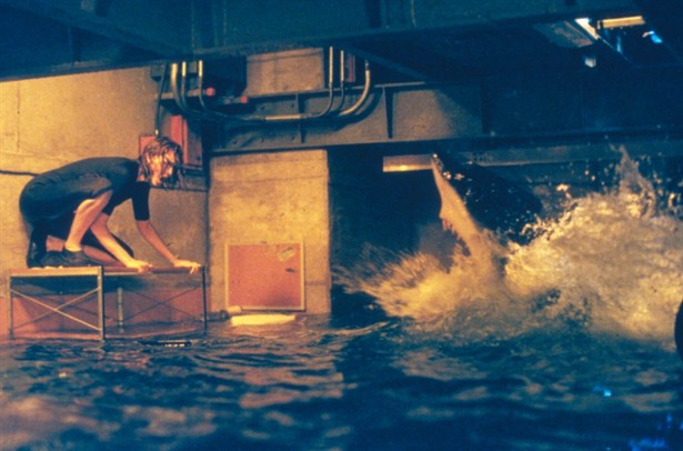 Photo of Animal Attack Movies รวมหนังสัตว์ขย้ำ หม่ำมนุษย์